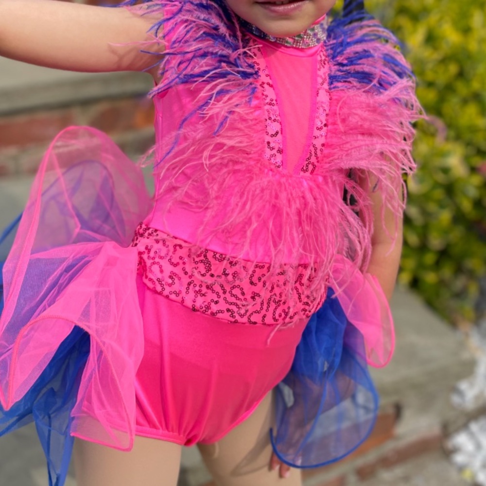Pink and Blue Weissman Feathered Kids Costume